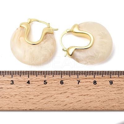 Brass Resin Hoop Earrings EJEW-P333-11C-G01-1