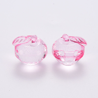 Transparent Acrylic Pendants TACR-T024-05B-903-1