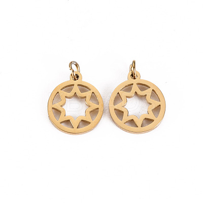 304 Stainless Steel Charms STAS-S116-134G-1