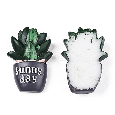 Opaque Resin Decoden Cabochons LS-AJEW-N001-01-1