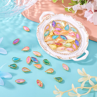 2 Bags 2 Styles Sew on Rhinestones RESI-TA0004-54-1