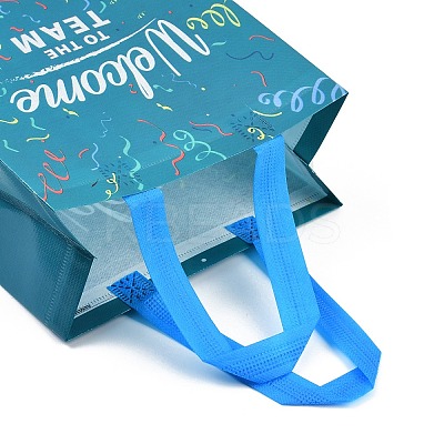 Printed Non-Woven Reusable Folding Wine Bottle Gift Bags with Handle LS-ABAG-C012-04B-1