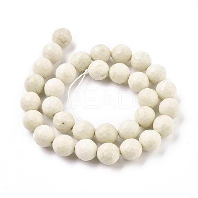 Natural Fossil Round Bead Strands G-O151-02-12mm-1