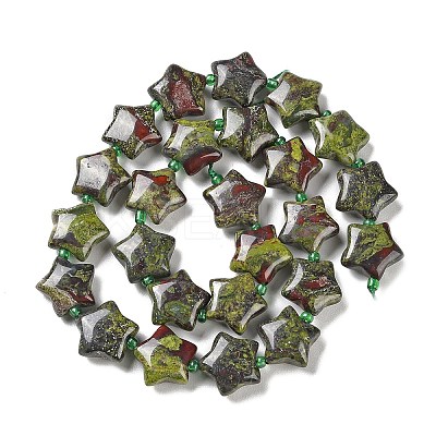 Natural Dragon Blood Jasper Beads Strands G-NH0005-011B-1