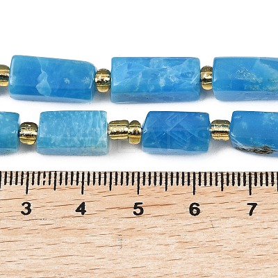 Natural Apatite Beads Strands G-D353-A23-1