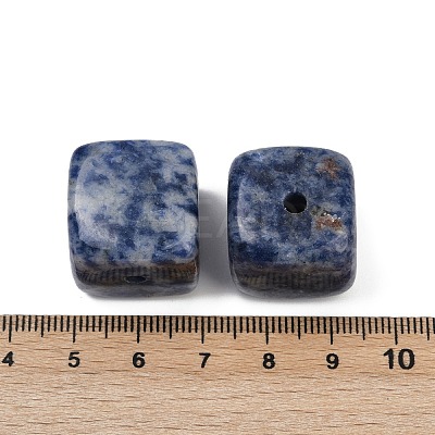 Natural Blue Spot Jasper Incense Burners G-C186-01G-1
