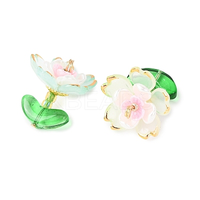 Transparent Acrylic Pendants PALLOY-MZ00823-05-1