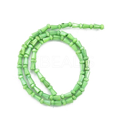 Natural Freshwater Shell Beads Strands SHEL-G013-02E-1