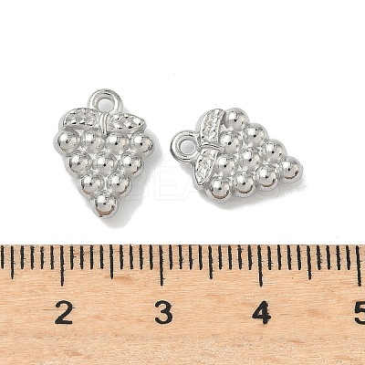 304 Stainless Steel Pendants STAS-Z176-01P-05-1