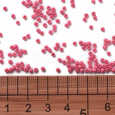 11/0 FGB Grade A Baking Paint Glass Seed Beads X-SEED-N001-A-1045-1