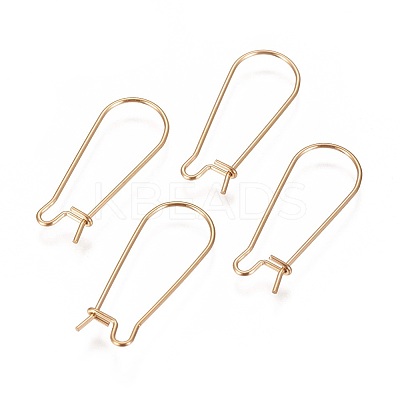 Ion Plating(IP) 304 Stainless Steel Hoop Earrings Findings Kidney Ear Wires LS-X-STAS-L216-22B-G-1