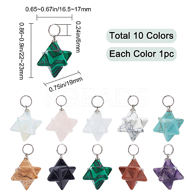 10Pcs 10 Colors Rose Quartz & Quartz Crystal & Amethyst & Picture Jaspe & Opalite & Turquoise & Blue Goldstone & Goldstone & Howlite & Malachite Gemstone Pendants G-SC0002-01-1