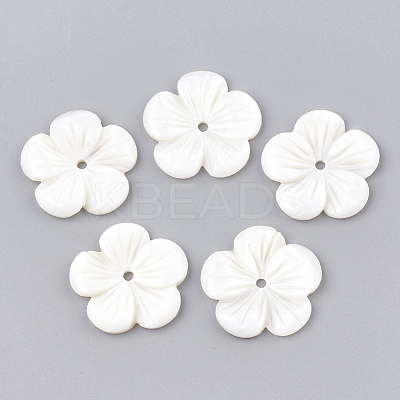 Freshwater Shell Beads SHEL-S274-08-1