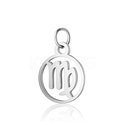 Non-Tarnish 304 Stainless Steel Charms STAS-T036-T513-A6-1