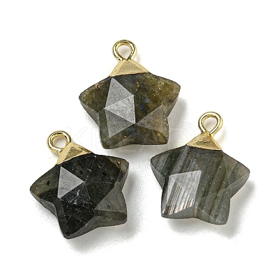 Natural Labradorite Pendants G-P540-01G-06-1