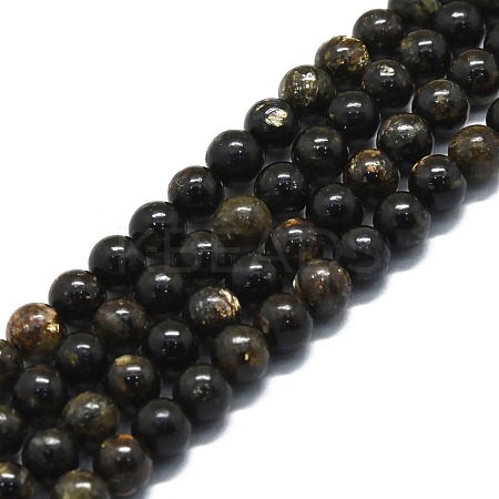 Natural Biotite Beads Strands G-P457-C02-01-1