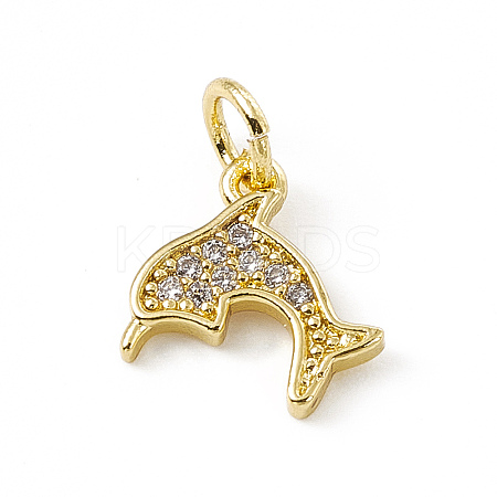 Brass Micro Pave Cubic Zirconia Charms ZIRC-F132-47G-1