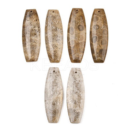 Natural Fossil Coral Pendants G-B187-01C-09-1
