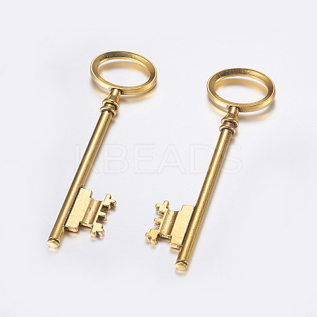 Tibetan Style Alloy Skeleton Key Large Pendants LS-TIBEP-S105-AG-RS-1
