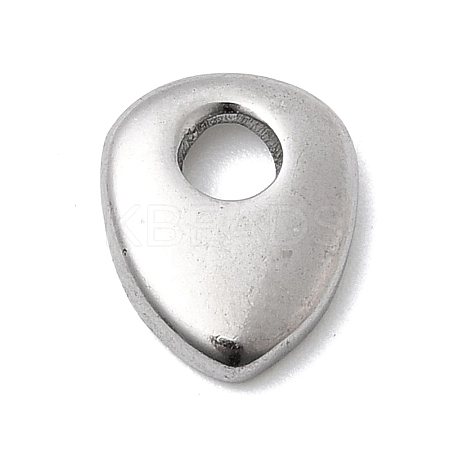 304 Stainless Steel Charms STAS-H247-06P-1