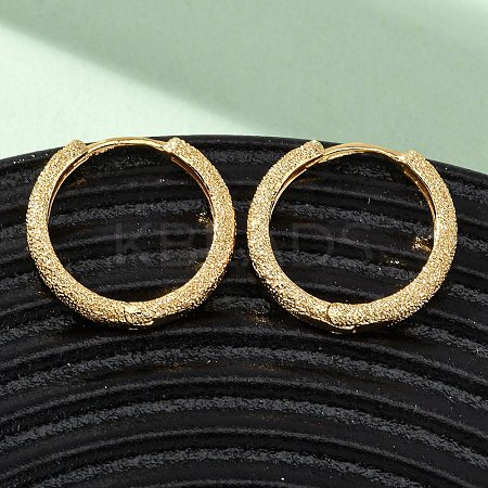 Round Ring Brass Hoop Earrings EJEW-F384-08G-1