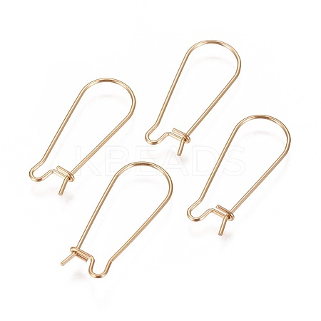 Ion Plating(IP) 304 Stainless Steel Hoop Earrings Findings Kidney Ear Wires LS-X-STAS-L216-22B-G-1