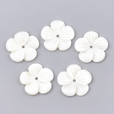 Freshwater Shell Beads SHEL-S274-08-1