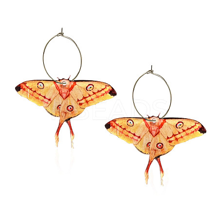 Butterfly Alloy Acrylic Hoop Earrings FS-WG09DCE-04-1