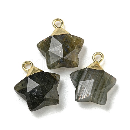 Natural Labradorite Pendants G-P540-01G-06-1