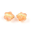 Gradient Color Transparent Hand-drawed Acrylic Beads TACR-P012-01B-06-2