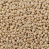 MIYUKI Round Rocailles Beads X-SEED-G008-RR0593-3