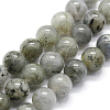 Natural Labradorite Beads Strands G-I199-15-8mm-1