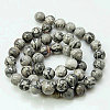 Natural Map Stone/Picasso Stone/Picasso Jasper Beads Strands X-G-G047-4mm-2