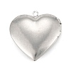 Non-Tarnish 316 Surgical Stainless Steel Locket Pendants STAS-C026-09P-2