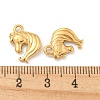 Ion Plating(IP) 304 Stainless Steel Charms X-STAS-N103-87G-3
