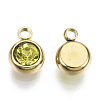PVD Vacuum Plating 201 Stainless Steel Rhinestone Charms LS-X-STAS-S068-11G-1