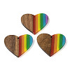 Pride Rainbow Theme Resin & Walnut Wood Pendants X-WOOD-K012-03-1