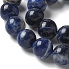 Natural South Africa Sodalite Beads Strands X-G-S259-35-10mm-5