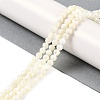 Natural Shell Beads Strands SSHEL-E571-38B-4mm-4