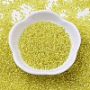 MIYUKI Delica Beads SEED-J020-DB0145-2