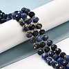 Natural Sodalite Beads Strands G-P508-A10-01-2