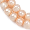 Natural Cultured Freshwater Pearl Beads Strands PEAR-I007-07Z-04B-4