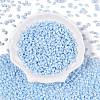 Opaque Colours Luster Glass Seed Beads SEED-T006-02B-1