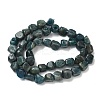 Natural Apatite Beads Strands G-R445-8x10-24A-5