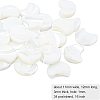 1 Strand Natural White Shell Beads Strands SSHEL-BC0001-18-2