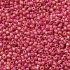 TOHO 11/0 Round Beads X-SEED-TR11-0405F-2