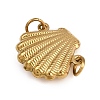 304 Stainless Steel Shell Shaped Connector Charms STAS-P407-03A-G-2