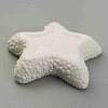 Starfish Shape Ceramic Jewelry Plate AJEW-WH0041-95B-2
