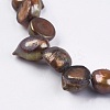 Natural Baroque Pearl Keshi Pearl Beads Strands BSHE-P026-32-11