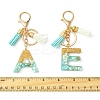 Transparent Epoxy Resin Pendant Keychains KEYC-FS00022-26-3